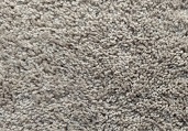 Carpet One